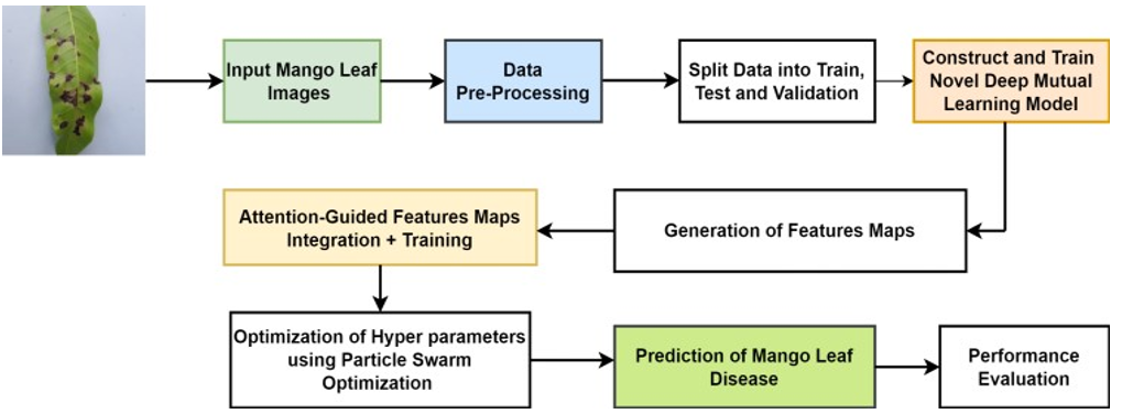 mango leaf disease detection using machine learning