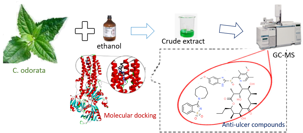 molecular modeling of phytochemicals as proton pump inhibitors