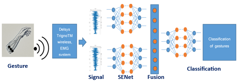 sign language detection