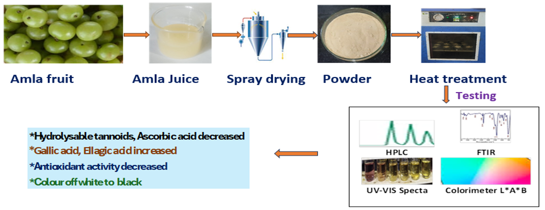 amla - heat effect on phytochemical profiles