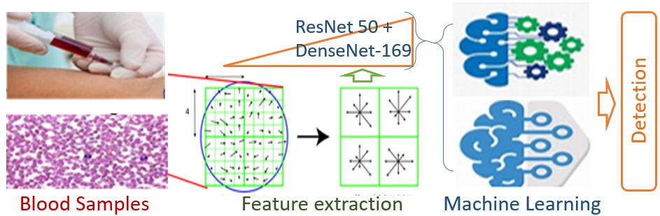 blood cancer detection using machine learning