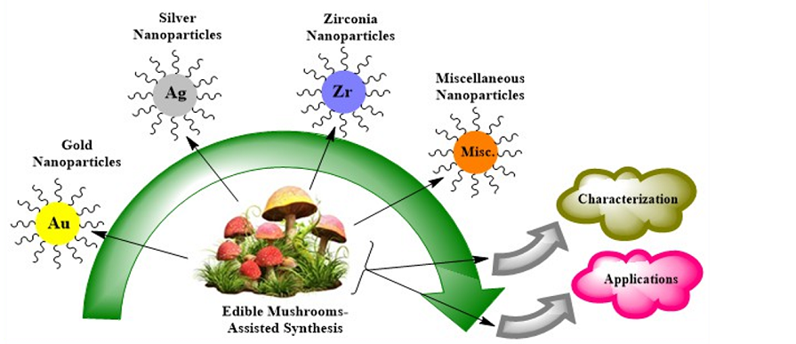mushroom assisted synthesis of nanoparticles