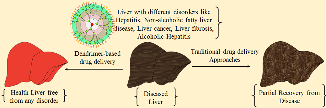 dendrimers for liver diseases