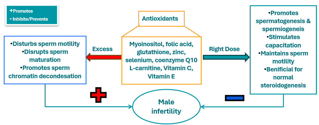 antioxidants and male infertility