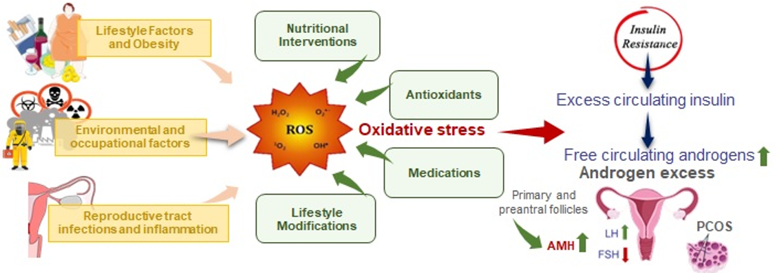 oxidants obesity infertility