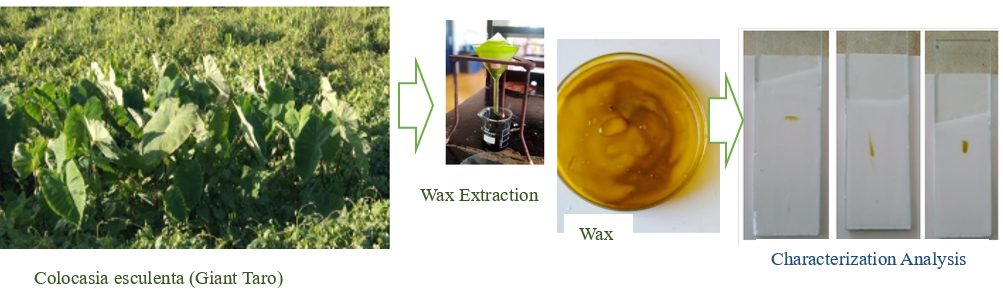 wax extraction and properties
