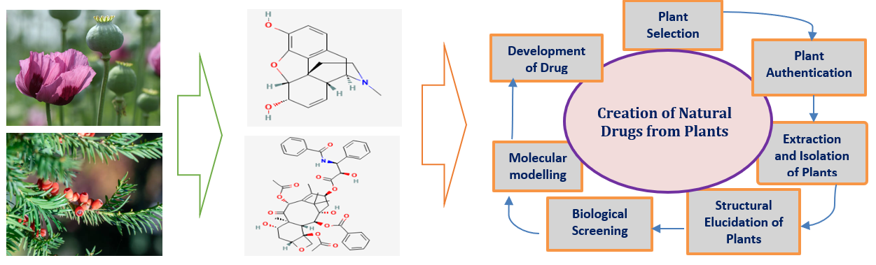 drug development from natural products
