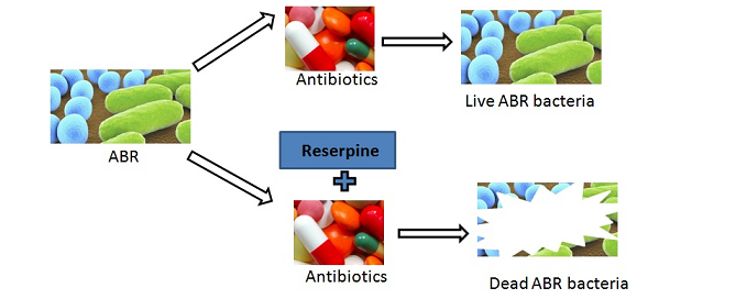 antibiotics resistance