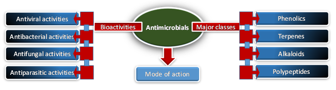 antimicrobial from plants