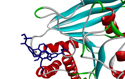 PTP1B kinase inhibition by calixarene