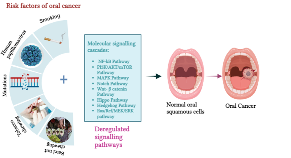 oral cancer mechanism