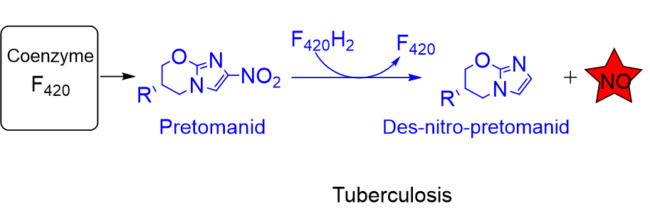 coenzyme in tuberculosis