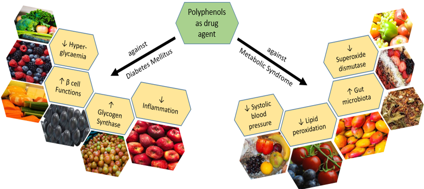 diet polyphenolic compounds in diabetes