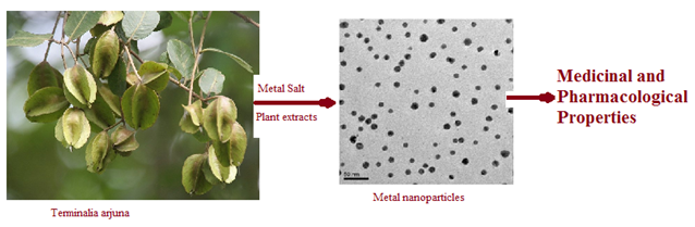 arjuna plant nanoparticles