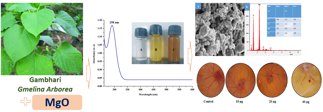 MgO nanoparticles green synthesis and biological evaluation