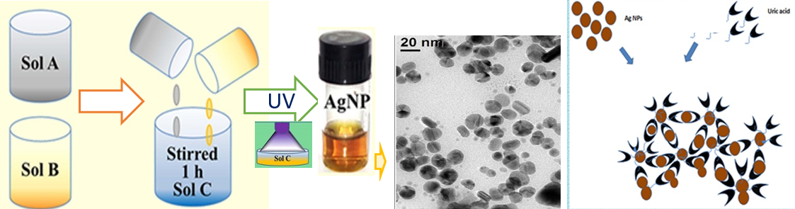 Ag NPs based plasmonic detection of Uric Acid