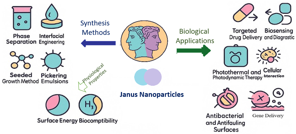 janus nanoparticles biological properties