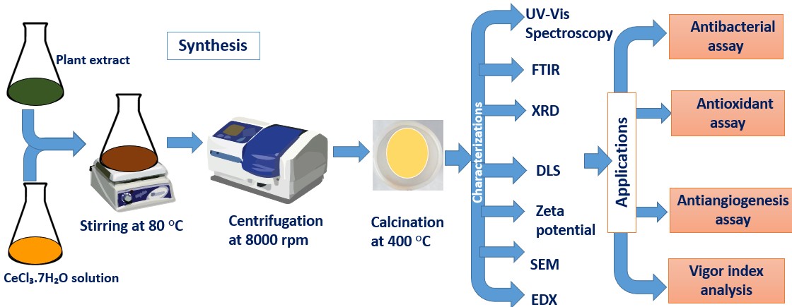 cerium oxide nanoparticles