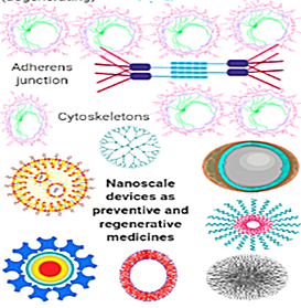 regenerative tissue nano-engineering