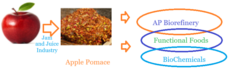 industrial uses of apple pomace