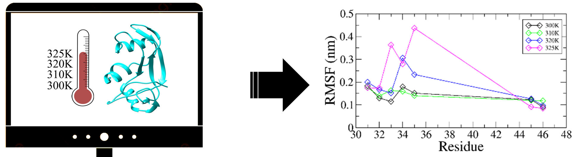 RNase A simulations at different temperatures