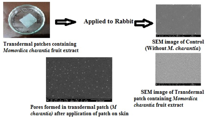transdermal delivery patch in diabetes