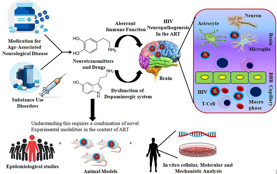 HIV induced neurological disorders