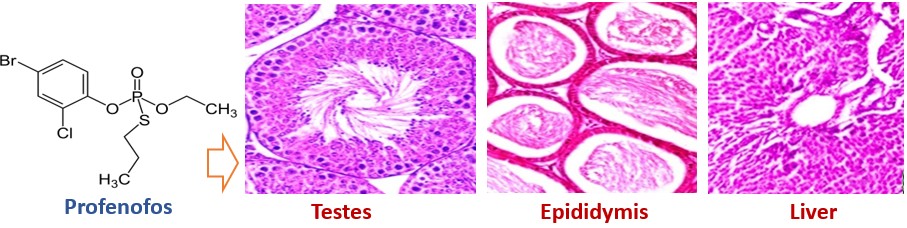 Profenofos reproductive toxicity