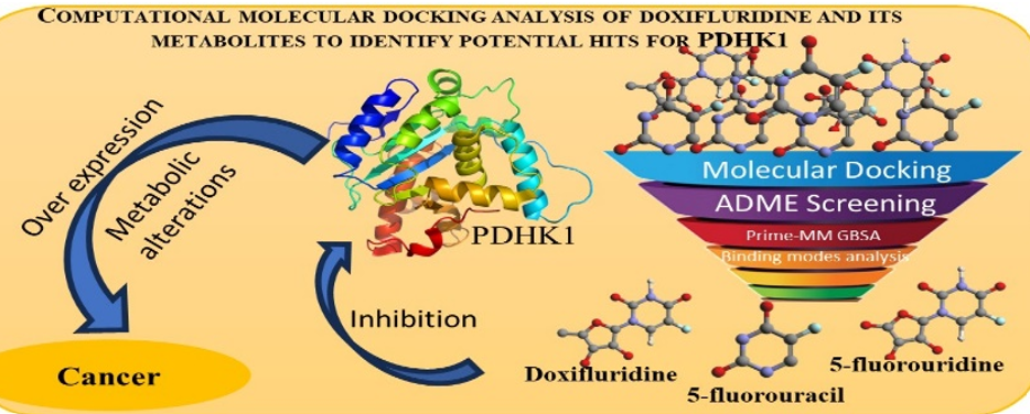 molecular docking of Doxifluridine
