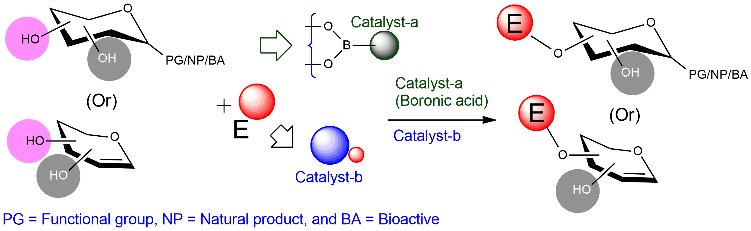 synergistic catalysis in glycoscience