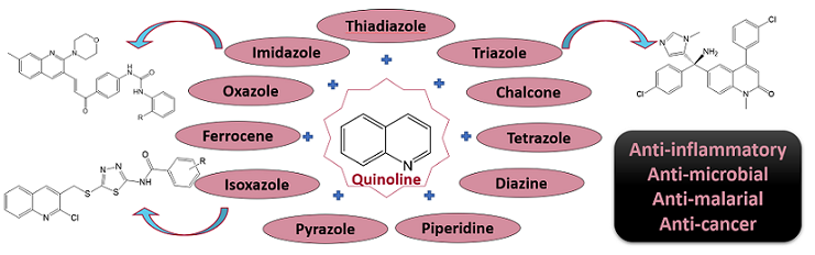 quinoline hybrid scaffolds