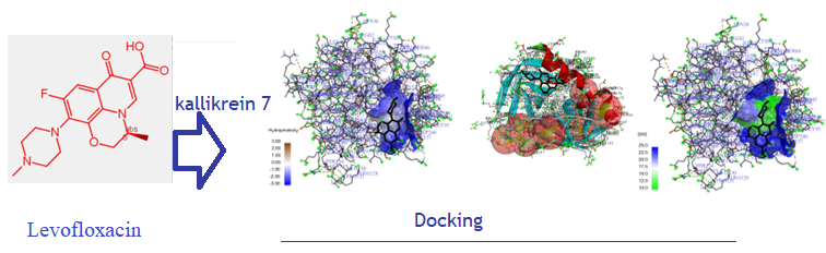molecular docking for antibacterials