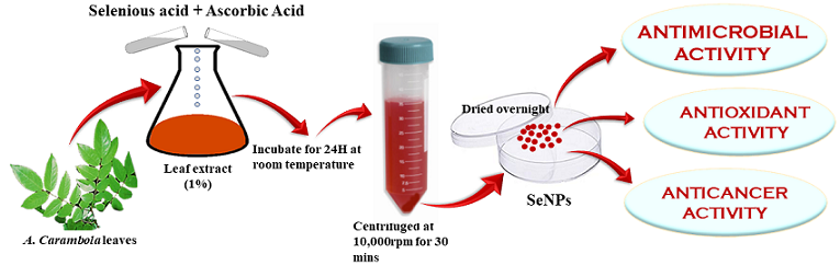 selenium nanoparticle biosynthesis