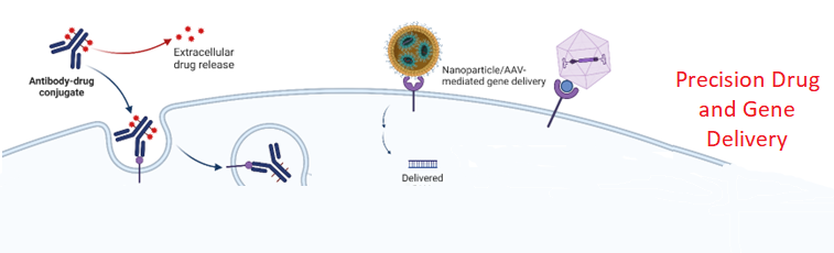 drug and gene delivery